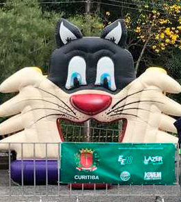 Pula-Pula Gato