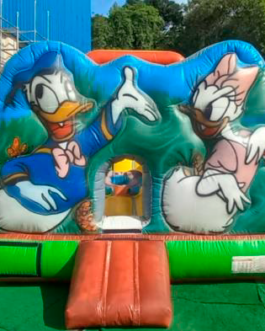 Tobogã Pato Donald