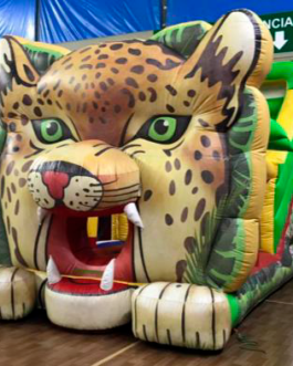 Tobogã Tigre